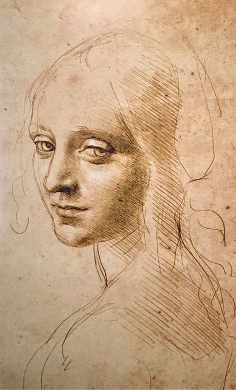 Sketches Nature, Rennaissance Art, Master Drawing, Academic Art, Art Ancien, Portrait Sketches, A Level Art, Art Masters, Classical Art