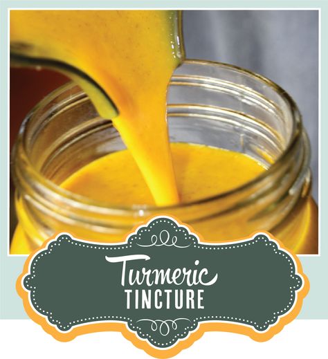 Make turmeric tincture at home from fresh root Turmeric Tincture Benefits, Turmeric And Ginger Tincture, Tumeric Tincture Recipe, Turmeric Tincture How To Make, How To Store Turmeric Root, Tumeric Root Uses, Tumeric Tincture, Turmeric Tincture, Health Benefits Of Turmeric