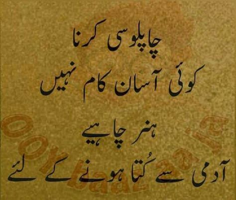 . Good Manners Quotes, Manners Quotes, Inspirational Quotes In Urdu, Urdu Funny Quotes, Impress Quotes, Islamic Quotes On Marriage, Urdu Love Words, Urdu Words, Urdu Quotes With Images