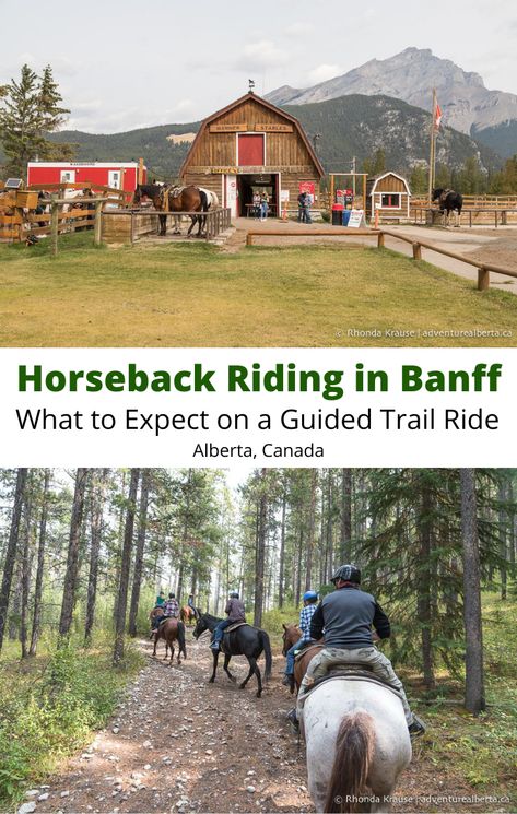 Banff Horseback Riding, Alberta Banff, Summer Canada, Things To Do In Summer, Canada Mountains, Alberta Travel, Trail Ride, Banff Alberta, Canadian Travel