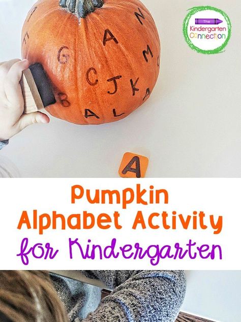 Whats Inside A Pumpkin Activity, Reggio Emilia Pumpkin Activities, Pumpkin Activities For Two Year Olds, Name Recognition Preschool Fall, Halloween Letter Sound Activities, Pumpkin Labeling Kindergarten, Pre K Must Haves, Pumpkin Literacy Activities Kindergarten, Pumpkin Inquiry Kindergarten