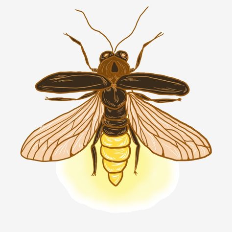 flying insects, insects, fireflies Firefly Drawing, Firefly Painting, Firefly Tattoo, Firefly Art, Glowing Flowers, Font Illustration, Flying Insects, Graphic Design Background Templates, Insect Art