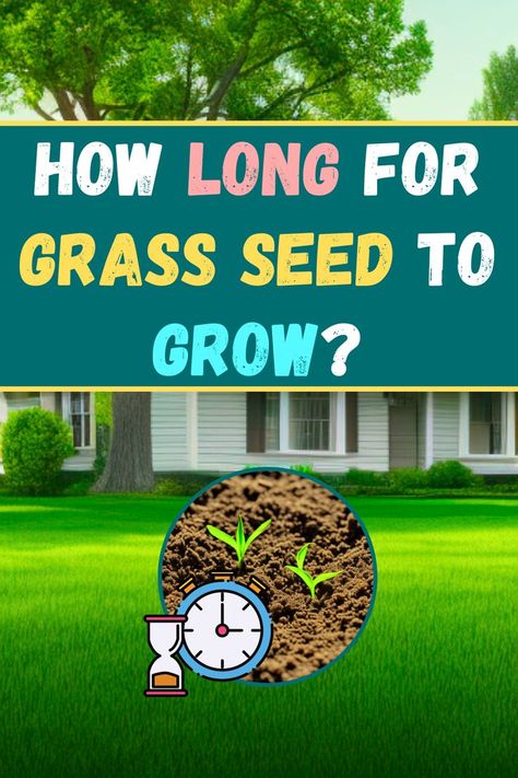 Curious about how long it takes for grass seed to sprout? Discover the germination timeline for your lawn, from sowing to lush greenery. Get ready for a vibrant yard! 🏡✨ #GrassSeed #LawnCare #GardeningTips Natural Pesticides, Growing Grass, Seed Germination, Rainwater Harvesting, Pollinator Garden, Grass Seed, Green Lawn, I Understand, Earth Friendly