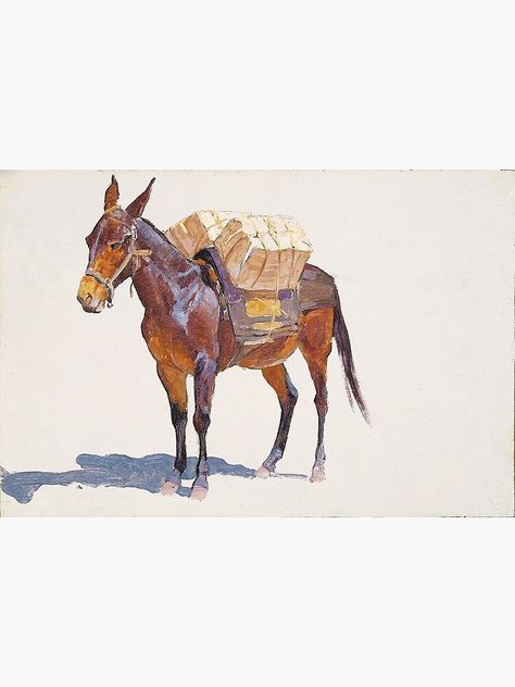 "Frederic Remington - Untitled pack mule study" Metal Print by Monetlover | Redbubble Pack Mule Art, Western Art Paintings, Pack Mule, Frederic Remington, Western Artwork, Mountain Men, West Art, Gold Mine, Breyer Horses