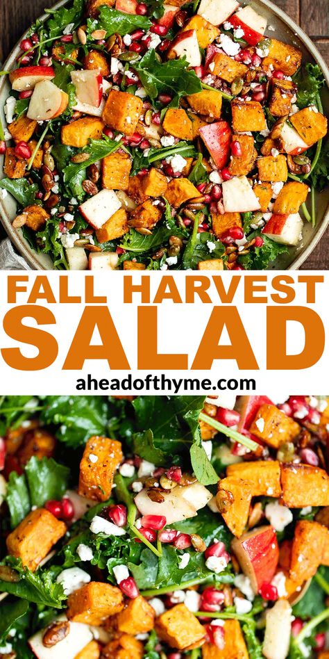 Salad With Roasted Butternut Squash, Harvest Salad Recipes, Salad With Butternut Squash, Fall Harvest Salad, Autumn Salad Recipes, Harvest Salad, Autumn Salad, Fall Dinner, Roasted Butternut Squash