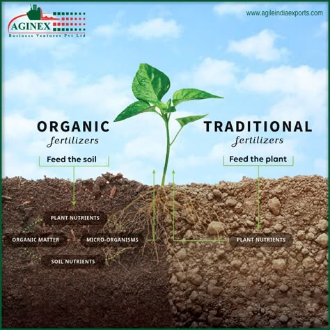 The difference between Organic and Traditional Fertilizers - #GrowOrganic #HealthySoil #HealthyPlants #HealthyEcosystems Plants Vegetables, Organic Compost, Agriculture Education, Plant Nutrients, Fertilizer For Plants, Food Forest, Soil Health, Organic Fertilizer, Organic Food