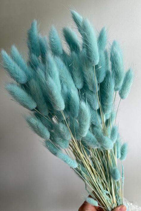 Tiffany-blue dried bunny tails. (Code: ZDRBUNNBL) Turquoise Cottage, Winter Pool, Turquoise Aesthetic, Lights Ideas, Bunny Tails, Photo Collage Template, Blue Bunny, Bunny Tail, Aesthetic Vibes