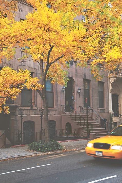 New York taxi in the fall Photo Ciel, Voyage New York, Yellow Taxi, Autumn In New York, Tall Buildings, I Love Nyc, Taxi Cab, Nova York, Concrete Jungle