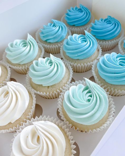 Something about ombré buttercream cupcakes just 🧁 😍 these are a sneak peak from part of a birthday order I did this weekend. Can you guess the birthday theme? #cupcakes #vanilla #vanillacupcakes #vanilla #dessert #baking #homebaker #smallbusiness #sweeteats #sweeteatsbyrachel #buttercream #icing #icingswirls #cupcakeart #cupcakeinspo #cupcakestyles #cupcakedecorating #buttercreamcupcakes #buttercreamfrosting Blue Cupcake Ideas Birthday, Light Blue Cupcakes, Blue Vanilla Cupcakes, Baby Blue Cupcakes, Simple Blue Cupcakes, Surf Party Cupcakes, Blue And White Cupcakes, Vanilla Cupcakes Blue Frosting, Pale Blue Cupcakes