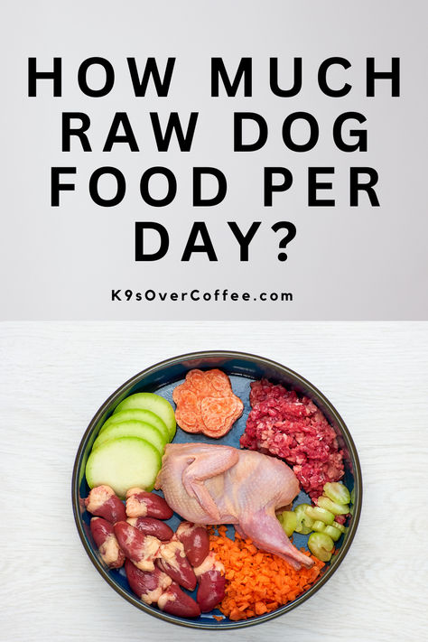 A bowl with a specific amount of homemade raw dog food. How Much Homemade Dog Food To Feed, Raw Food Diet For Dogs Beginner, Raw Food Recipes For Dogs, Homemade Raw Dog Food Recipes, Dog Raw Food Diet For Beginners, What To Feed Dogs, Raw Diet For Dogs, Raw Food For Dogs, Raw Food Diet For Dogs