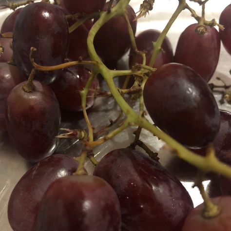 Grape Purple Aesthetic, Grape Vines Aesthetic, Grapevine Aesthetic, Prudence Aesthetic, Purple Grapes Aesthetic, Grape Aesthetic, Grapes Aesthetic, Grape Popsicles, Julien Neel