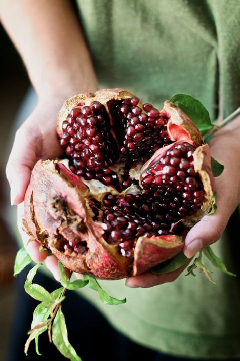 Holding Pomegranate, Pomegranate Recipes Salad, Pomegranate Recipes, Pomegranate Salad, Fruit Picture, Pomegranate Fruit, Vinaigrette Recipes, Fruit Seeds, Pomegranate Seeds