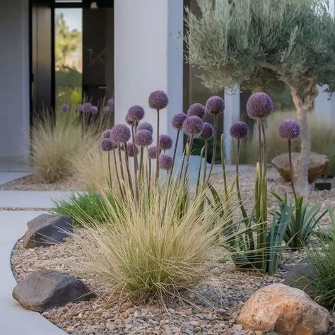 Courtyard Gardens Design, Backyard Garden Landscape, Coastal Gardens, Mediterranean Garden, Plant Combinations, Courtyard Garden, Outdoor Oasis, Outdoor Style, Backyard Landscaping Designs