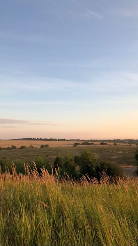 Summer Aesthetic Landscape, Peaceful Nature Aesthetic, Real Nature Photos, Summer Flower Field, Meadow Aesthetic, Light Brown Aesthetic, Aesthetic Field, Country Fields, Field Aesthetic