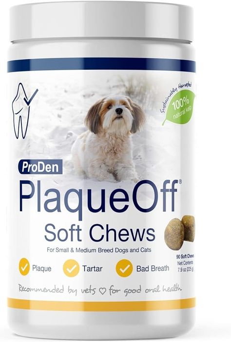 Amazon.com : ProDen PlaqueOff Soft Chews with Natural Kelp - for Small & Medium Breed Dogs & Cats - Supports Normal, Healthy Teeth, Gums, and Breath Odor in Dogs & Cats - 90 Soft Chews : Pet Supplies Dental Treats, Giant Breeds, Dog Dental, Dog Wash, Breed Dogs, Puppy Food, Small Breed, Healthy Teeth, Medium Dogs