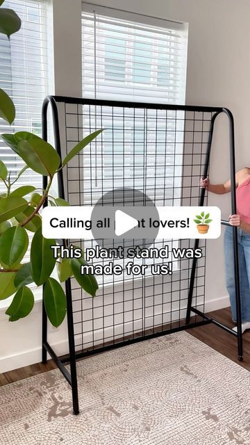 Mariah Harman | Houseplant Tips on Instagram: "You’re JOKING 🫣🪴 I’m giddy with excitement about how this plant space turned out! 

Comment “STAND” & I’ll dm you the 🔗 

I love that you can potentially utilize both sides of this stand & LOAD UP with plants 🪴🪴🪴🪴

It also creates a bit of privacy in front of the window without blinds. Plants > blinds always! 😂

Let me know your thoughts & opinions! I wanna hear what you think 💗💫🪴" Plant Space, Houseplant Tips, Plant Spacing, The Window, What You Think, Both Sides, House Decor, Dorm Room, Indoor Plants