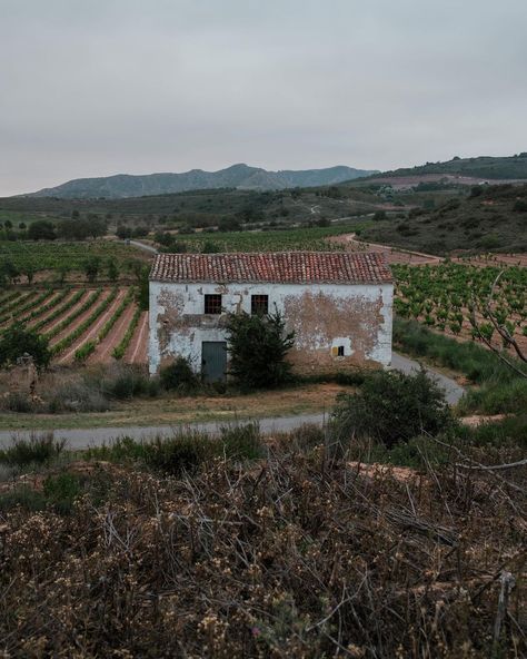 A vineyard outside Logrono, Spain.

Photo by @in.old.cities Logrono Spain, Old Cities, Rioja Spain, Adventure Bucket List, Photo Inspiration, All Over The World, Travel Inspiration, Spain, The Outsiders