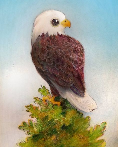 Heather Gross Cute Eagle Drawing, Eagle Drawing Simple, Egale Drawing, Eagle Drawing Easy, Cute Eagle, Eagle Cartoon, Aigle Royal, Eagle Drawing, Eagle Painting