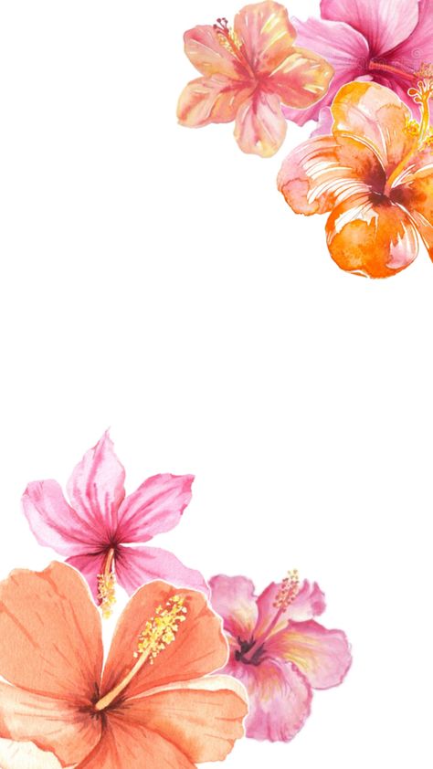 Orange Hibiscus Wallpaper, Coral Color Wallpaper, Hibiscus Wallpaper, Hibiscus Flower Drawing, Summer Beach Wallpaper, Orange Hibiscus, Laptop Background, Cute Summer Wallpapers, Iphone Lockscreen Wallpaper