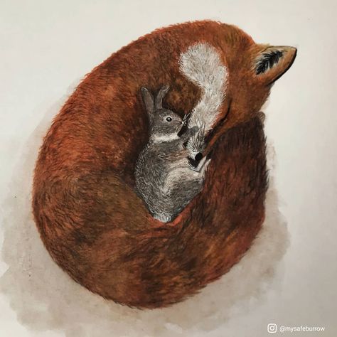 Rabbit And Fox Art, Sleeping Fox Drawing, Dillon Montana, Fox And Bunny, Heart Of Darkness, Caw Caw, Fox Drawing, Fox Pictures, Rabbit Illustration