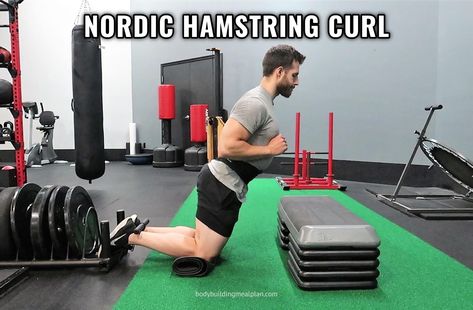 Nordic Hamstring Curl Nordic Hamstring Curl, Hamstring Curl Machine, Killer Leg Workouts, Knee Health, Hamstring Curl, Hypertrophy Training, Reverse Curls, Resistance Training Workouts, Schwarzenegger Bodybuilding