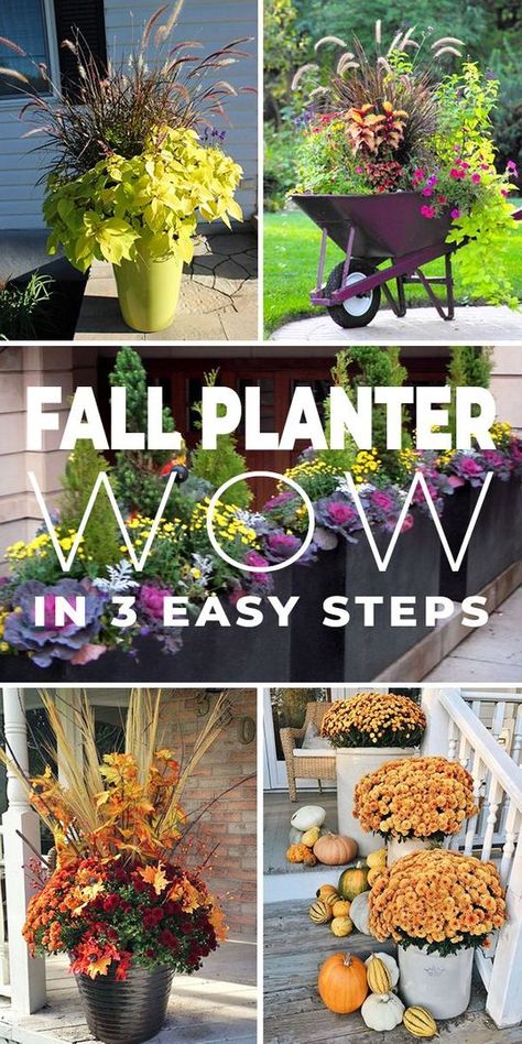 Fall Planter Ideas – "Wow" in 3 Easy Steps! - Create some wow with your fall planters and garden containers, with these great ideas and tips! #fallplanter #fallplanterideas #DIYfallplanterideas #gardenplanter #fallcontainer #fallcontainerideas Fall Planter Ideas, Vertical Container Gardening, Gemüseanbau In Kübeln, Fall Container Gardens, Fall Containers, Fall Garden Vegetables, Fall Planters, Modern Fall, Planter Ideas