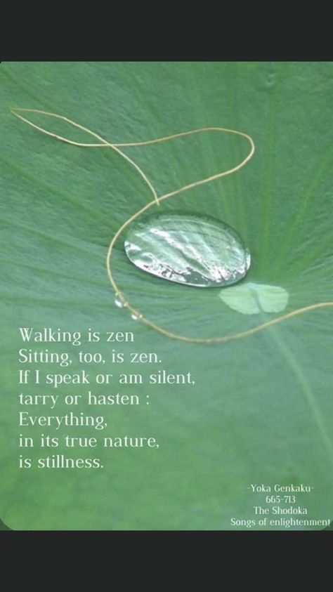 Namaste Quotes, Zen Proverbs, Quotes About Nature, Draw Wings, Zen Mind, Zen Pictures, Lao Tzu Quotes, Zen Philosophy, Haiku Poetry