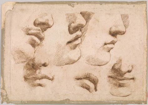 Giovanni Francesco Barbieri Guercino | Studies of Mouths and Noses | Drawings Online | The Morgan Library & Museum Nose Hatching Drawing, Master Drawing Sketches, Guercino Drawings, Daumier Drawings, Mouths Drawings, Master Sketches, Masters Drawings, Nose Ideas, Drawing Nose