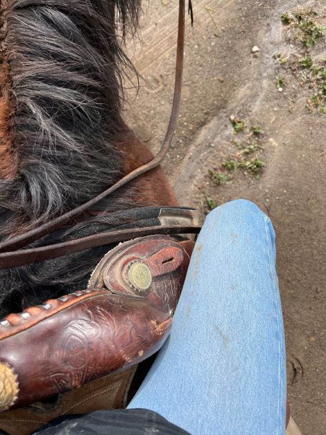 Western Rider Aesthetic, Horse Back Riding Aesthetic Western, Western Trail Riding, Trail Ride Aesthetic, Horse Ranch Aesthetic, Western Horse Riding Aesthetic, Western Riding Aesthetic, Ranch Life Aesthetic, Heartland Aesthetic