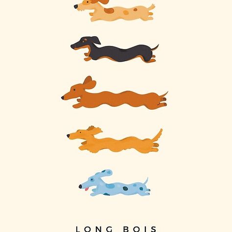 Weenie Dog Illustration, Dachshund Art Illustration Weenie Dogs, Daschund Illustration Cute, Wiener Dog Cartoon, Dashund Illustrations, Weiner Dog Illustration, Dachshund Dog Illustration, Wiener Dog Illustration, Dachshund Illustration Drawings