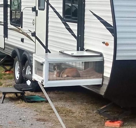 Rv Catio, Rv Cat Enclosure, Rv Cat, Train A Cat, Rv Pet, Camping Gear Diy, Funniest Cats, Dark Funny, Funniest Cat