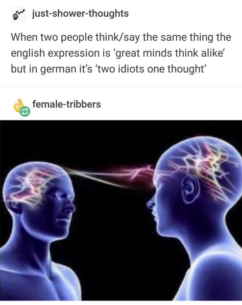 But in English, the full saying is "great minds think alike, but fools rarely differ" I Love You Dear, Great Minds Think Alike, Questions For Friends, Job Help, Happy Stuff, Talk To Strangers, Silly Goofy, Christmas Parade, Mind Tricks