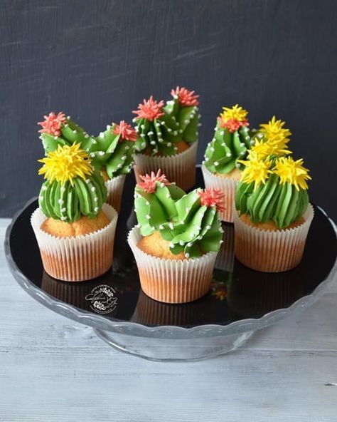 cactus-shaped cupcake decorations will delight you Honey Cupcakes, Cactus Cupcakes, Desert Party, Succulent Cupcakes, Quick Healthy Lunch, Breakfast Dinner, Quick Lunch, Dessert Lover