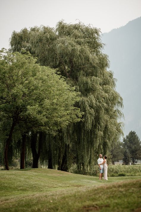 Willow Tree Wedding Photos, Pemberton Wedding, Willow Tree Wedding, Golf Course Wedding, Natural Wedding Photography, Natural Wedding, Big Tree, Tree Wedding, Willow Tree