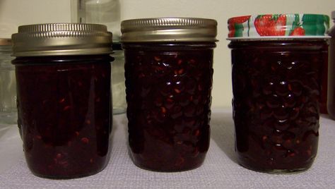 When I was a kid growing up on the family farm, the fence line we shared with the neighbors contained a goodly number of saskatoon trees.  My creative and inventive Mom concocted this recipe to use… Serviceberry Recipes, Saskatoon Jam, Saskatoon Recipes, Simple Canning, Saskatoon Berry Recipe, Service Berry, Berry Jam Recipe, Sour Cherry Recipes, Rhubarb Jam Recipes