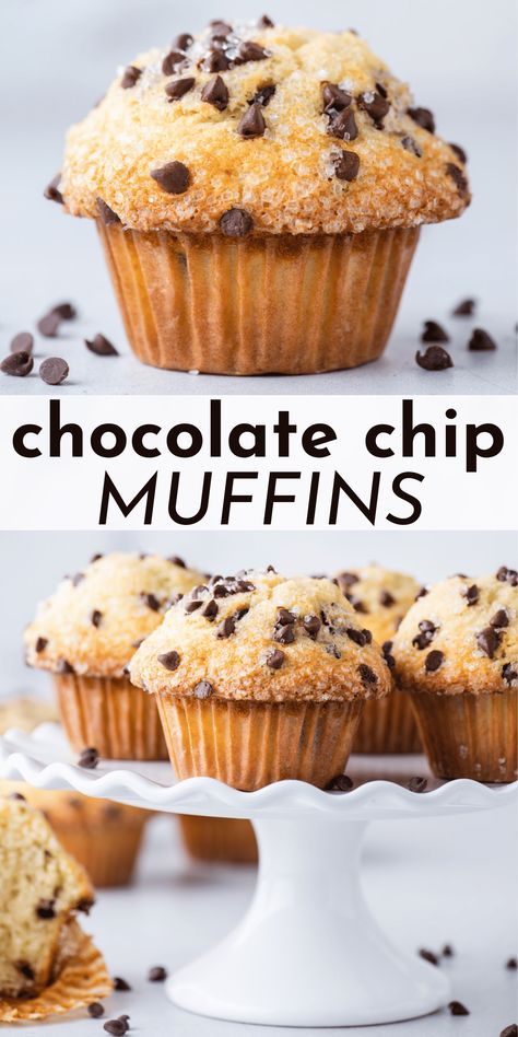 Want to make absolutely perfect chocolate chip muffins that rival any professional bakery? I spent 6 months testing and perfecting muffin recipes so I could teach you the exact, easy to follow steps to make bakery style muffins at home! Jumbo Oatmeal Muffins, Whole Grain Breakfast Muffins, Oatmeal Chocolate Chip Breakfast Muffins, Baking Recipes With Oats, Oatmeal Choc Chip Muffins, Oatmeal Chocolate Chip Muffin Recipe, Oat Flour Chocolate Chip Muffins, Easy Oatmeal Chocolate Chip Muffins, Things To Make With Oatmeal