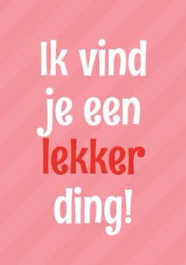 lekker ding Lekker Ding, Dutch Words, Dutch Quotes, No One Loves Me, Love Text, Happy Love, Say I Love You, Love Notes, Funny Pins