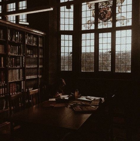 Paradis Sombre, Wammy's House, Lots Of Books, Dark Acadamia, Academia Aesthetics, Aesthetic Dark Academia, Hogwarts Aesthetic, Slytherin Aesthetic, Vampire Academy