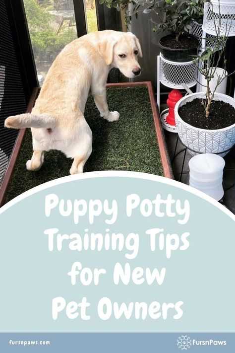 Tips For Potty Training Puppies / Training Puppy To Potty Outside / Dog potty training / Dog Training Tips Training Tips For Puppies, Tips For Puppies, Potty Training Puppies, Puppy Potty Training Tips, Potty Training Methods, Training Puppies, Puppy Potty Training, Train A Puppy, Tips For Dogs