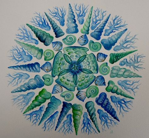 . Shell Mandala, Mandala Watercolor, Sea Art, Green Sea, Shell Art, Mandala Tattoo, Beach Art, Sea Foam, Mandala Art