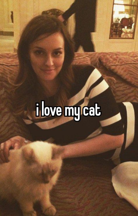 My Cat Is My Best Friend, I Love My Cat Quotes, I Love You Cat, Cat Whisper, Daytime Fashion, I Love My Cats, Me And My Cat, Human Diary, Cat Movie