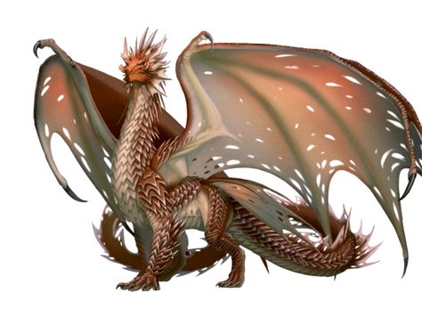 Ancient Copper Dragon - Pathfinder PFRPG DND D&D 3.5 5E 5th ed d20 fantasy Kobold Press, Dragon Poses, Types Of Dragons, Copper Dragon, Ancient Dragon, Dnd Dragons, Cool Dragons, Cool Monsters, Dragon Illustration