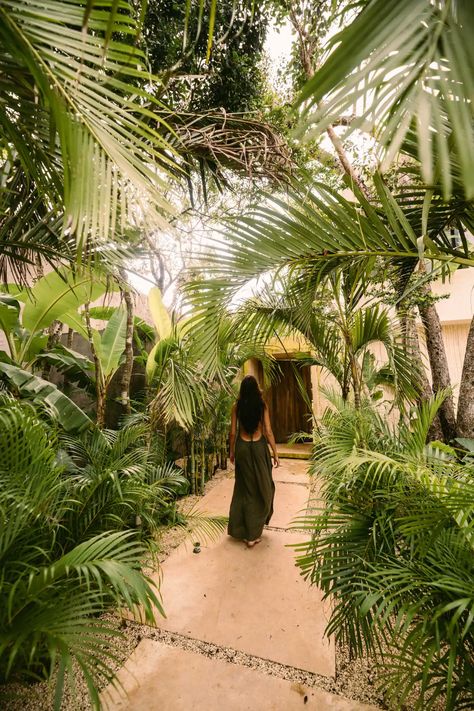 Tulum Garden Design, Tulum Pool Design, Tropical Hotel Exterior, Tulum Landscape, Tulum Patio, Tulum Garden, Tropical Villa Design, Tulum Treehouse, Tulum Villa