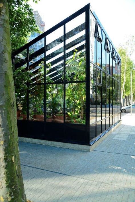 Modern Greenhouse Ideas, Architectural Greenhouse, Hartley Botanic Greenhouse, Glasshouse Ideas, Greenhouse Modern, Modern Green House, Contemporary Greenhouses, Modern Greenhouse, Modern Greenhouses