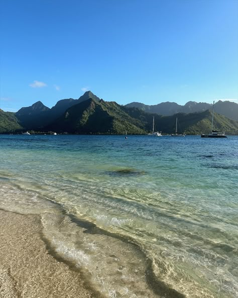 Living the Moana life on my favorite beach in Moorea 🌺🐚🌴🥥✨ If you‘re planning on visiting the beautiful island Moorea, then put the beach Ta‘ahiamanu on your itineray. It‘s also an amazing sunset spot! 🧡 Which shot is your favorite? 🥰 #moorea #tropicalbeach #moana #frenchpolynesia #tahitian #beachvacation #tropicallife #dreamisland #bestbeach #bestisland #besttravel #traveldestinations things to do in Moorea | Moorea itinerary | beach in Moorea | islands in French Polynesia | honeymoon de... Moorea Itinerary, French Polynesia Travel, Moorea Island, Raiatea French Polynesia, French Polynesia Honeymoon, Moorea French Polynesia, Tahiti French Polynesia, Travel Inspiration Destinations, Amazing Sunsets