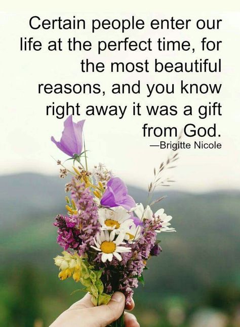 Remember sometimes God only puts a  person in your life for a season. It may be for years or it may be for months. God Always has a reason for everything he does in your life. There was a time when this happened to me. I just didn't understand why after all those years of friendship. Then he revealed to me that my life was going to used in a mighty way. Have I made mistakes absolutely but it was all part of God's plan and what he had in store for me. My next chapter didn't involve using people. God Friendship, Christian Friendship Quotes, Friendship Words, Christian Friendship, Gods Plan Quotes, Mohammad Ali, Quotes God, Trendy Quotes, Religious Quotes