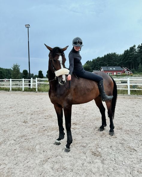 Summer evenings with you 🖤🌃 Sarah Stone, Equestrian Aesthetic, Cutest Puppies, Horse Aesthetic, Dream Barn, Horse Drawing, Equestrian Life, Instagram Summer, Horse Pictures