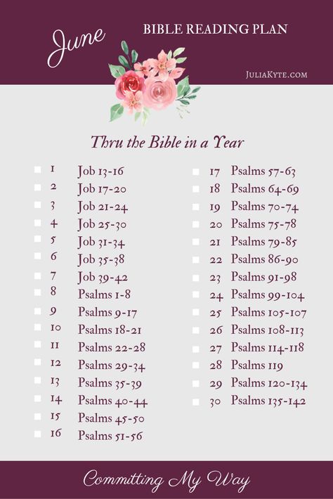 June Bible Reading Plan 2024, June Bible Reading Plan, Purple Bible, Plan 2025, Gods Wisdom, Kjv Study Bible, Writing Challenges, Bible Studying, Scripture Writing Plans