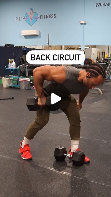 Mid Back Exercises, Gorilla Rows, Beginner Workout Schedule, Single Arm Row, Circuit Training, Beginner Workout, Back Day, Workout Schedule, Back Muscles