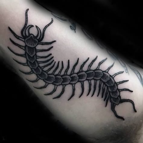 Inner Arm Bicep Centipede Tattoos For Gentlemen Centipede Tattoo, Geometric Sleeve Tattoo, Insect Tattoo, Scorpion Tattoo, Tattoo Designs For Men, Traditional Tattoo Art, Simple Tattoo, Arthropods, Ink Ideas